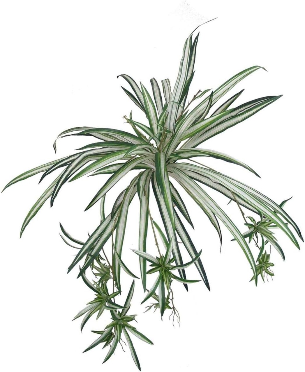 4-Pack: Spider Fern Plant with 60 Silk Fronds, 32" Wide, Faux Greenery by Floral Home®